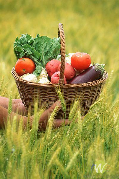Green Haven Heirloom Vegetable Sampler